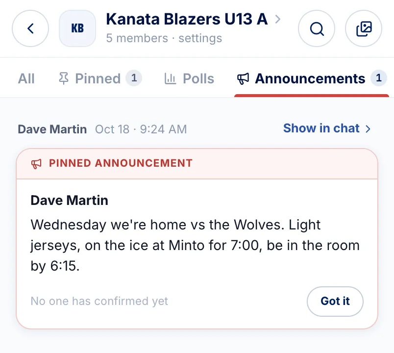 The team chat's pinned announcement with a Got it button
